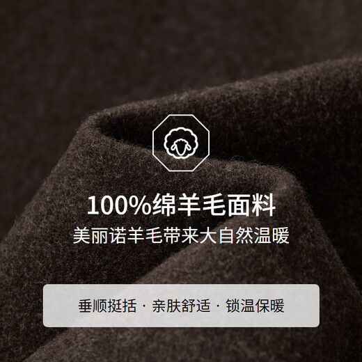 EMZ鄂尔多斯【羊毛系列】早春羊毛呢子夹克男士翻领短款外套休闲男装 深咖 L 175/96A