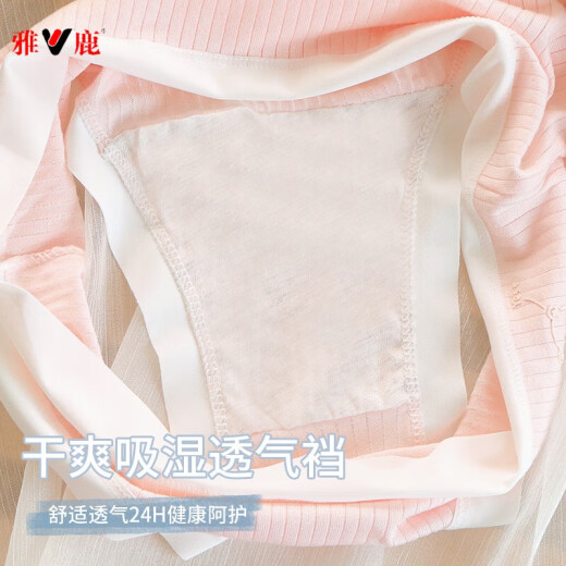 雅鹿内裤女透气少女中腰内裤女夏简约甜美少女内裤小熊  699# 蓝色 1条 L 95-120斤