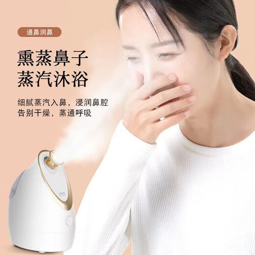 Vaporizador facial de arroz dorado nano spray térmico fumigación de ojos y nariz hogar pequeño vapor facial pulverizador hidratante instrumento de belleza para abrir poros máquina de vapor máscara humidificador asociado KD2300 instrumento de fumigación versión optimizada