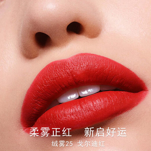 Gucci (GUCCI) New Year's Valentine's Day Gift Lipstick Gift Box Perfume Women's Cosmetic Set Makeup Gift Box Birthday Gift for Girls Free Perfume Velvet Mist 208+ Velvet Mist 25+ Perfume 5ml