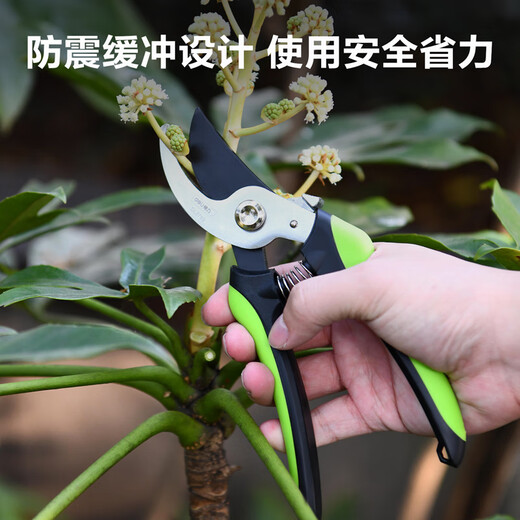 Deli garden scissors, fruit branch shears, garden pruners, branch pliers, household pruning scissors, fruit branch scissors lock design