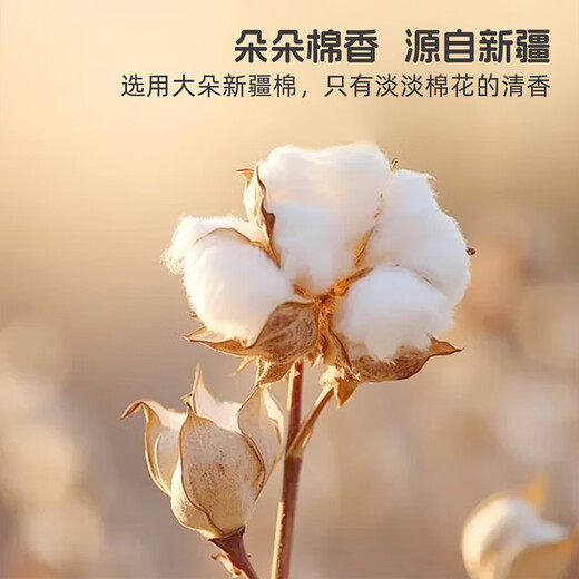 
Mercury Children's Quilt in Winter Cotton Quilt Core A Class Xinjiang Cotton Quilt quilts all seasons about 3.9 Jin [Jin equals 0.5 kg] 150*210cm