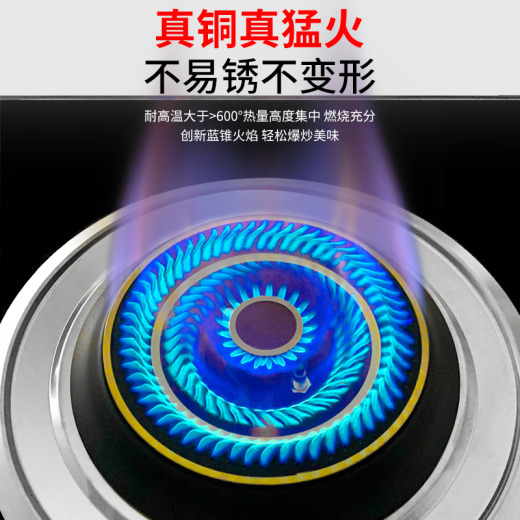 
XMSJZHE adapted to embedded gas stove fire cover fire divider steel cover copper cover core stove stove stove stove stove XY13544-16 Aeroplane stove for copper core