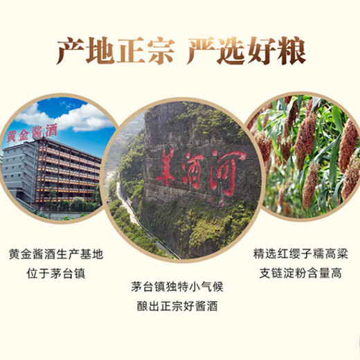 黄金酱酒拾陈酿黄金酒酱香型白酒53度纯粮酿造茅台镇白酒亲朋送礼 拾陈酿1箱装（6瓶）