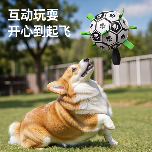 HELLOJOY Dog Toy Football Border Collie Pet Puppy Medium and Large Dog Corgi Interactive Bite Resistant Boredom Relief Training Toy Supplies
