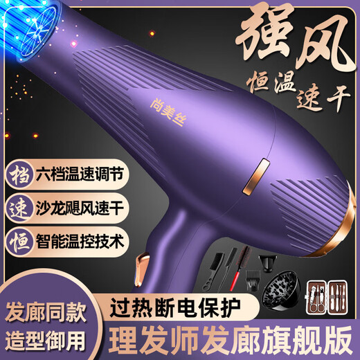 The most popular model on the Internet, strong wind hair dryer for hair use at home, high-power, quick-drying, hot and cold air, negative ions, no harm, electric hair dryer, three-piece set + manicure bag + hair salon hurricane, 1.8 lines, Violet
