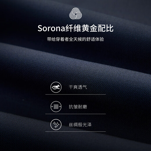 衬衫老罗2025年春夏羊毛西服套装男商务西装婚礼礼服套西TZ516819 藏青 XL CSLL19身高176体重161-170斤