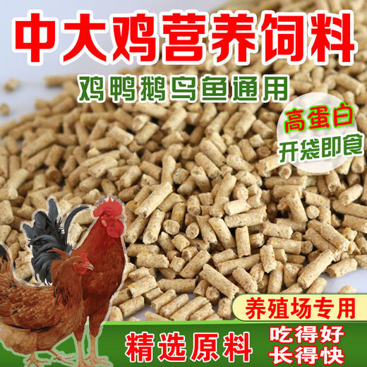 Wangyuanxing direct selling chicken feed for chickens, opening layer, broiler and fattening pellets full price feed 5Jin Jin equal to 0.5kg small pellet chicken feed