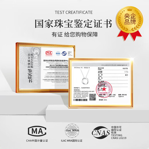 China Gold Möbius Platinum Necklace for Women 2025 New Platinum Pendant Birthday Gift for Girlfriend and Wife Wedding Anniversary Platinum Möbius Pendant + Pure Silver Chain Jingsuda