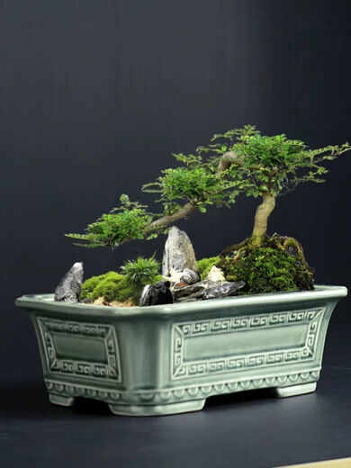 Chenjing cerámica china rectangular paisaje rectangular macizo Phalaenopsis planta verde de pila vieja maceta de marco de oro grande ramas flotantes de mármol yn 1424 frijoles verde +c25 pc cerámica [con agujeros]