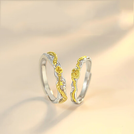 Dirholl Concentric Lock Platinum Ring PT950 Couple Ring Birthday 520 Valentine's Day Gift for Girlfriend and Wife Light Luxury Style - Concentric Lock Pair of Rings - No Engraving