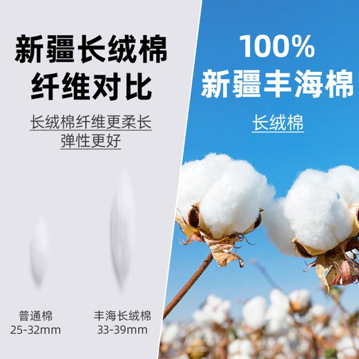 
ROMON (ROMON) [220 DP free iron] High-end pure cotton white shirt men's long-sleeved spring, summer and autumn business casual suit short shirt long-sleeved white thin style 41 175/96A Recommended 145-155Jin [Jin equals 0.5 kg]