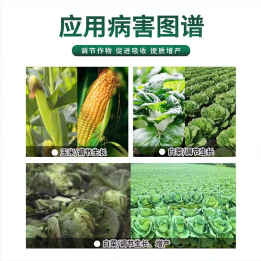 Guoguang Youlehong 8% amine fresh ester coloring, rooting, cold and drought resistance, promoting cell division, flower and fruit preservation growth regulator 200ml 2 bottles