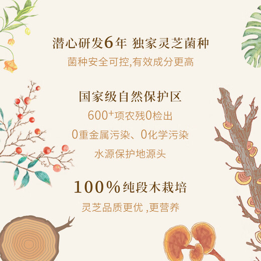 Yunjing Tianzhi Yunjing Tianzhi gebrochene Wand Ganoderma lucidum spore pulver blau hut hohe Qualität hoher Inhalt Offizieller Flaggschiff -Laden Echtes starkes Immunität Monatsbedarf (2 Kisten) kostenloses Erlebnispaket *12 Geschenktüte *1 kostenlose Tasse *1