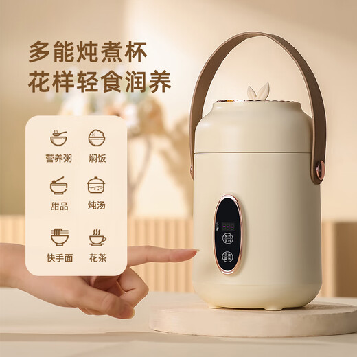Aishal souvenir doctor's day gift health pot electric stew cup gift box to give teachers and staff prizes birthday school banquet gifts high-end business gift custom souvenir purple company anniversary event to give customers employee prizes retirement souvenirs