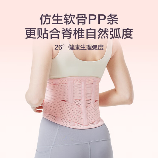 京东京造 护腰健身腰带女收腹束腰运动深蹲硬拉腰间盘腰椎护具腰托 L码