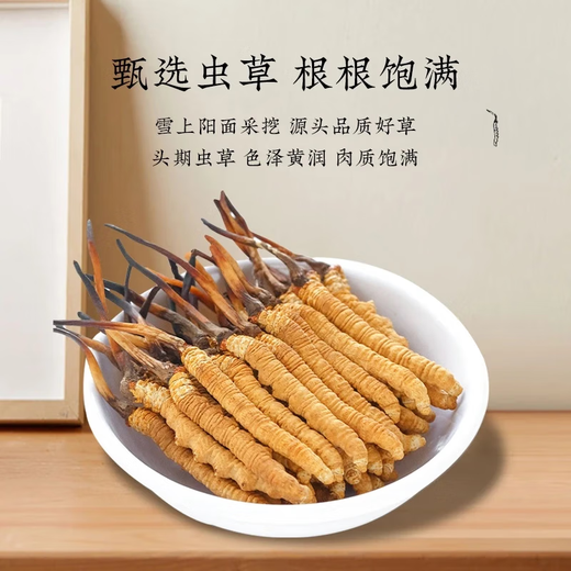 Cordyceps sinensis, caja de regalo de Cordyceps de gran altitud en áreas tibetanas, regalo para su propio uso, 3 palos 1 gramo [100 Box de regalo exquisito]