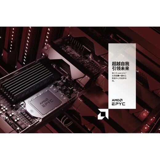 AMCAMD EPYC 9554/9654/9754/9555/9655/9755/9825/9845/9965 CP -Anpassung 9v94 128/256/2.45/400W