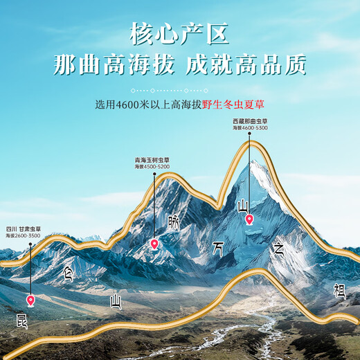 Zhaoying Peak [Wild] Cordyceps sinensis, the first-stage new dried Cordyceps sinensis in Nagqu, Tibet, tonic gift box for parents, Nagqu pure wild 4 roots/g, 40 roots, Tibetan rhyme gift box [Hot-selling in the store]