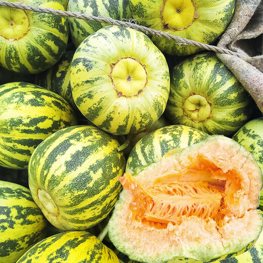 Beishu Melon Seeds Emerald Rock Sugar Seeds Croissant Honey White Sand Honey Spring Cantaloupe Seeds Beishu Melon Seeds 150 capsules 5 bags