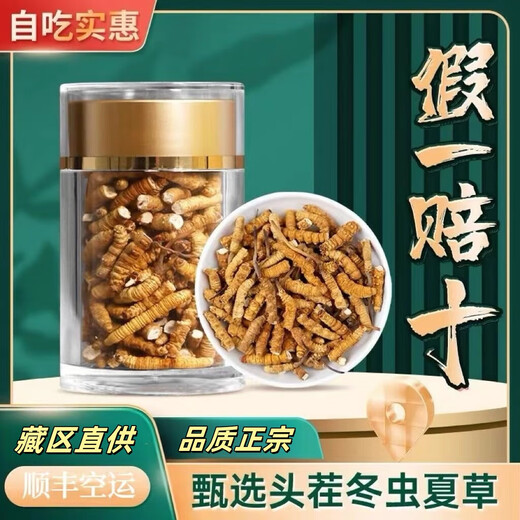 
(SF Express) Authentic Tibetan area Naqu break Cordyceps Cordyceps Cordyceps Big broken grass eats Cordyceps broken grass Authentic Tibetan Naqu whole meat festival 10 grams pack