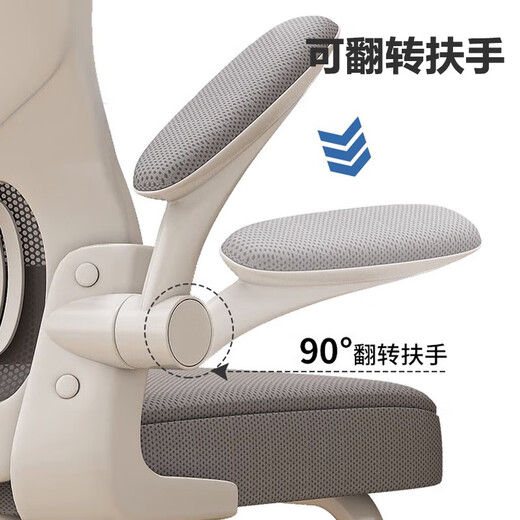 Xingkai Computer Learning Chair Ergonomic Chair Students' Homework Backrest Chair Office Study Chair BG832 Zhuangsheng Chair [Gray + 3D Headrest + Dynamic Waist Support]