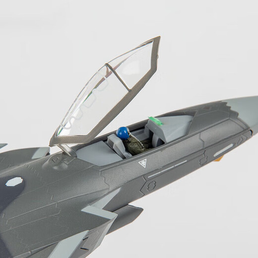 
Not stopped J-20 fighter model alloy simulation military model Zhuhai Air Show retirement souvenir 1:60 black WZHL-15937