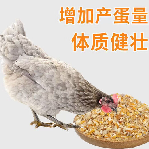 Laying hen feed full price feed chicken corn crumbs laying hen medium large chicken household chicken food duck quail chicken feed 80Jin Jin is equal to 0.5 kg layer hen feed