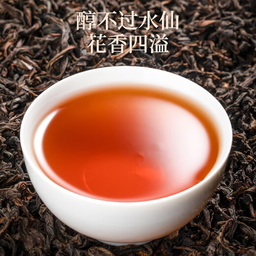 首宴老枞水仙乌龙茶武夷岩茶500g年货节送长辈礼品茶叶自己喝小泡袋