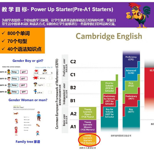 剑桥国际少儿英语 Power up 词汇练习册 1级别 配套pu单词本 单词练习册YLE小学初中 KET PET词汇语法英文考试