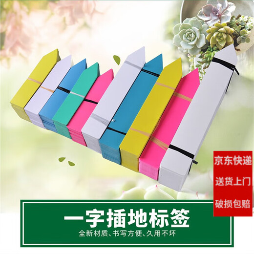 Shipton plástico impermeable suculento bonsai tierra marca jardinería etiqueta una palabra plántula maceta flor nombre etiqueta azul 2*10 (100 fotos)