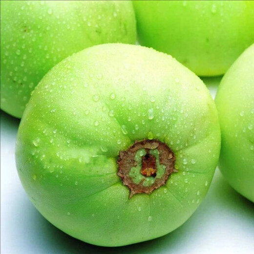 Xiangbin Japanese Sweet Treasure Melon Seeds Extra Large Authentic Spring Season Fruit Seeds Super Sweet Watermelon Muskmelon Seeds Japanese Sweet Treasure Seeds 100 original x2 packs