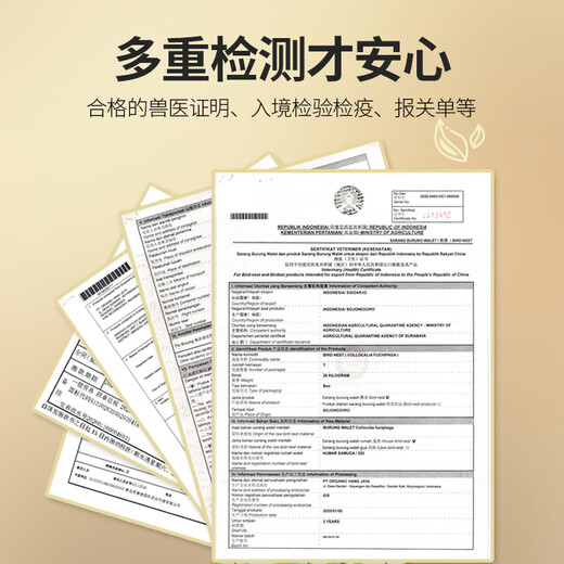 燕天使 YAN ANGEL【密盏】燕窝天然干燕窝印尼马来进口溯源干燕盏日常送礼礼盒 100克9A孕妇燕窝（赠豪华礼包）
