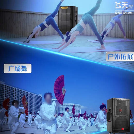 万利达大飞天9870/9071/9072/9073广场舞音箱蓝牙快手大功率便捷式重低音K歌音响 二分频双15寸（9871）2U段话筒