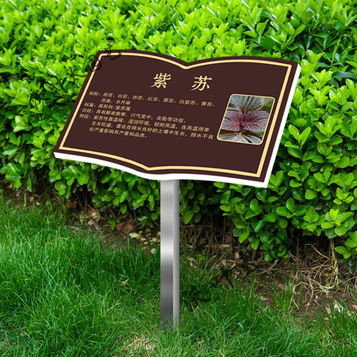 Plant introduction sign, tree sign, Chinese herbal sign, animal introduction sign, plant science sign, custom outdoor style 4, modified wording 20x30cm