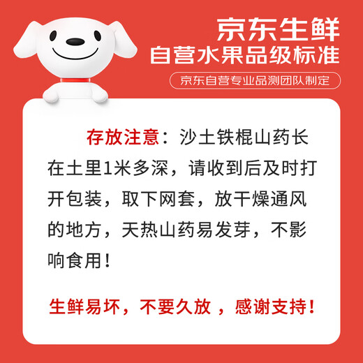 Jingxiansheng Jiaozuo Wenxian sandy soil iron rod pregnant yam Net weight 5Jin Jin is equal to 0.5kg 40-50cm fresh vegetables straight from the source