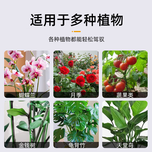 爬藤固定捆绑杆金钱树支撑杆室内瓜果花卉植物园艺花架花盆支架杆 10支4mm绿色60cm长 送10套帽