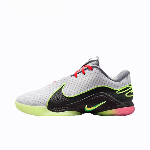 耐克（NIKE）Lebron22LBJ22詹姆斯勒布朗22篮球鞋FZ1095-101 FZ1098-100 40.5