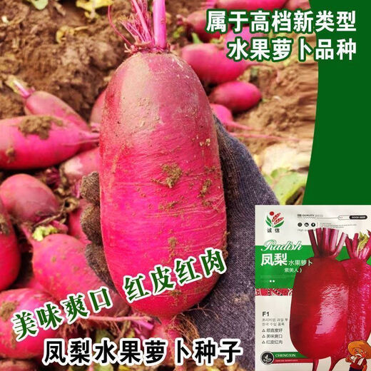 3341 pieces in 30 days, raw pineapple fruit radish seeds, purple beauty radish, rouge radish seeds, summer four, premium original, 200 capsules, two packs, fruit-type pineapple radish seeds (new this year)