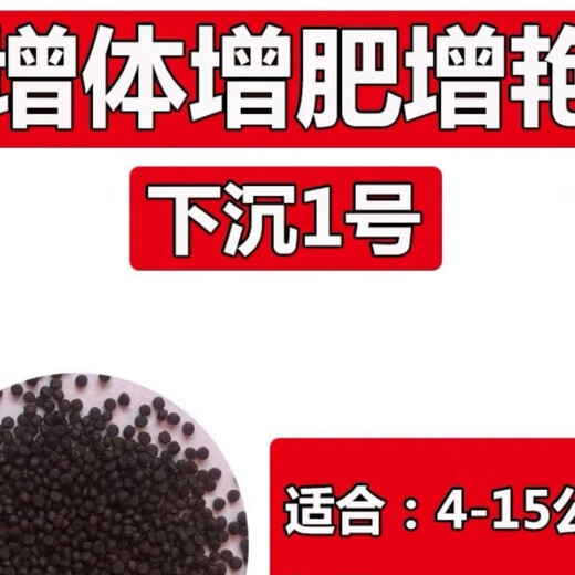 Tongwei Tongwei 9900 Kaikoule 48 Fry Fry Fry Special Special-Grain Orchid Guppies alimentation 1,0 granules 48 Matériau flottant de 500 g riches en protéines