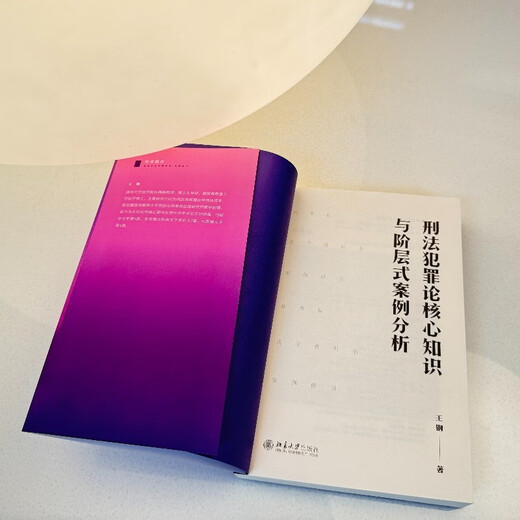 Core knowledge of criminal law and crime theory and hierarchical case analysis