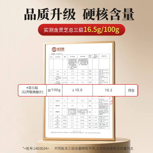 仙芝楼仙芝牌【国标制定 三萜10%】破壁灵芝孢子粉胶囊增强免疫力保健品 12盒 576g 【半年量】家庭营养