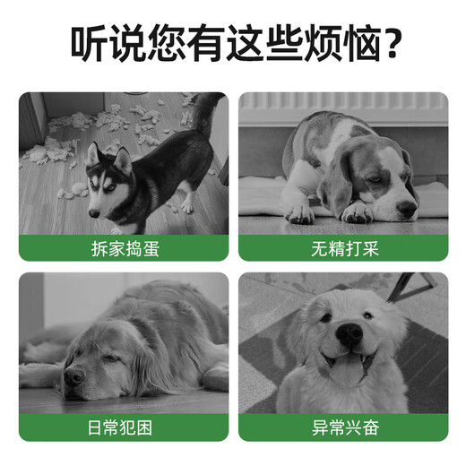 HELLOJOY Dog Toy Football Border Collie Pet Puppy Medium and Large Dog Corgi Interactive Bite Resistant Boredom Relief Training Toy Supplies