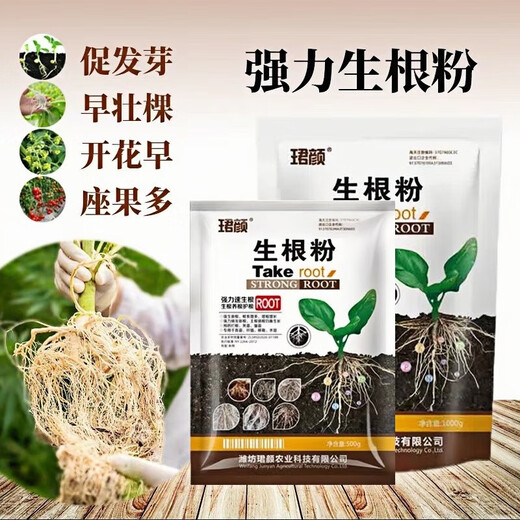 Junyan rooting powder is a general-purpose rapid rooting and seedling strengthening solution for flowering, tree cuttings, transplanting and planting. Rooting powder bagged 500g*2 bags