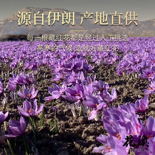北京同仁堂【特级藏红花特长丝】正宗伊朗t特级藏红花真品头茬新货 【特级】 6A特级野生头茬藏红花5瓶+镊子
