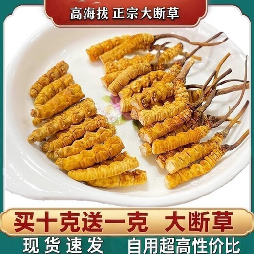 Xina Tibet Que High-altitude Cordyceps Cordyceps Broken Grass Large bottles High-altitude Self-use authentic home outfits Tibet Naqu Broken Grass 10 grams pack 1 gram hair 11 grams