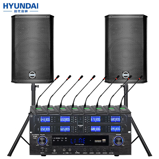 HYUNDAI现代BK10专业中小型会议室音响套装壁挂式音箱蓝牙功放无线话筒组合教学培训店铺音响系统设备 【两音响/八鹅颈】会议音响套装（20-120平）