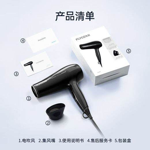 Secador de pelo de flyco para el hogar Aire caliente y fría cuidado de aire frío para el cabello seco de secado rápido 2000W Alta potencia FH6231