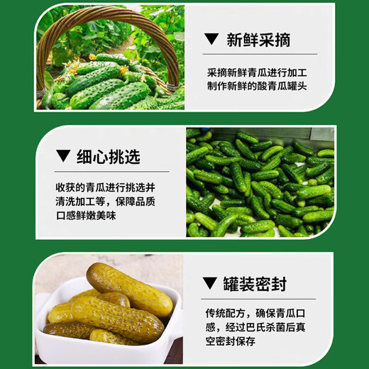 希可欧俄式酸黄瓜酱菜680g越南进口俄式风味西餐轻食三明治汉堡配菜