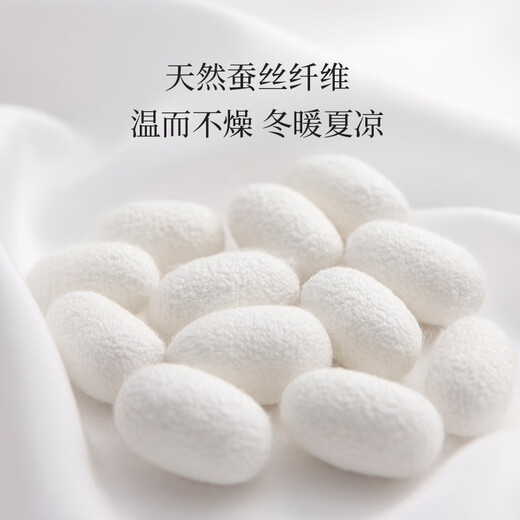 Mengjie Home Textiles 100% silk quilt jacquard fabric double quilt winter thick quilt about 4-8 Jin [Jin equals 0.5 kg] two-in-one quilt-100 large jacquard silk quilt (silk soft) 1.8/2 meter bed (248*248cm)